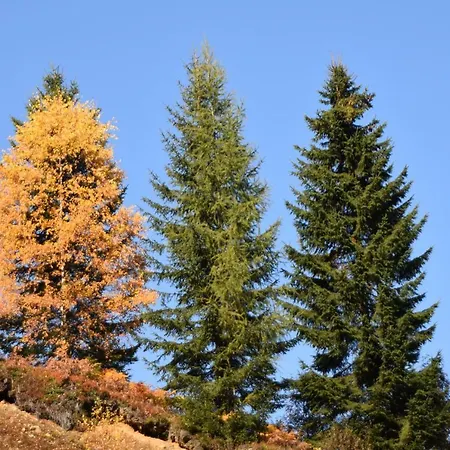 Ferienhaus Verditzhütte *