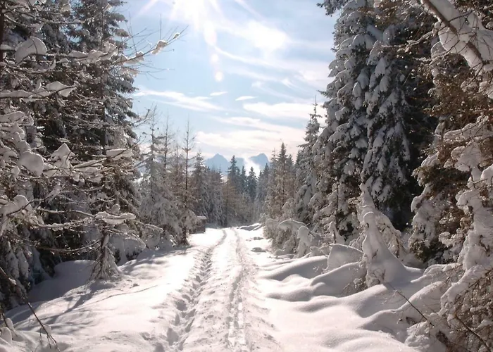 Vakantiehuis Verditzhuette *