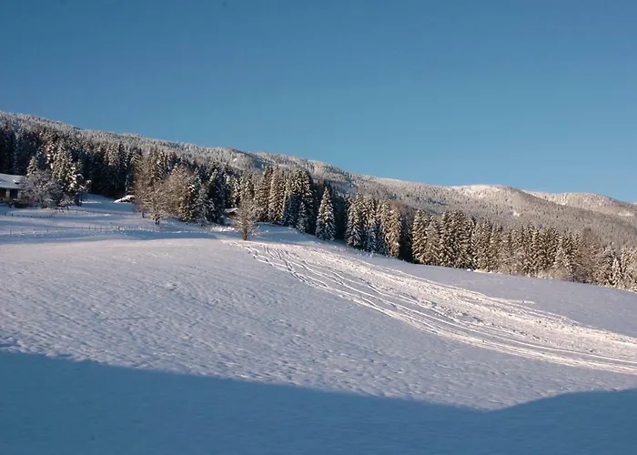 Vakantiehuis Verditzhuette