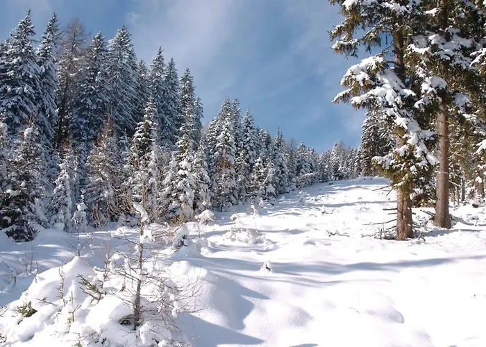 Verditzhuette Vakantiehuis